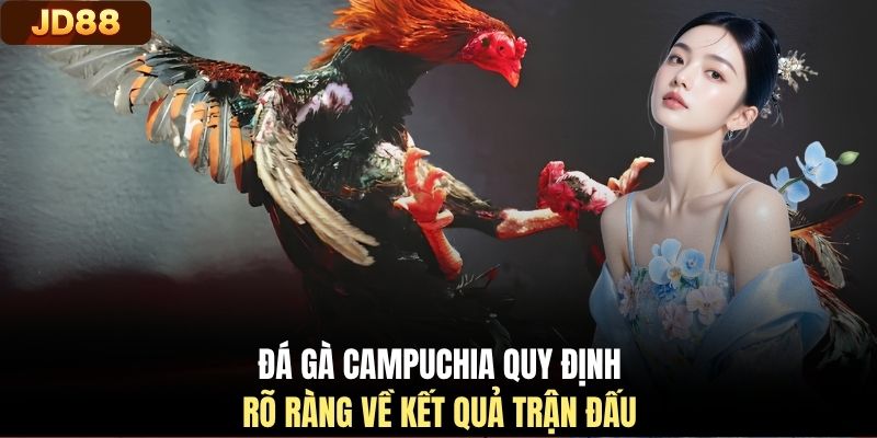 Đá gà Campuchia quy định rõ ràng về kết quả trận đấu