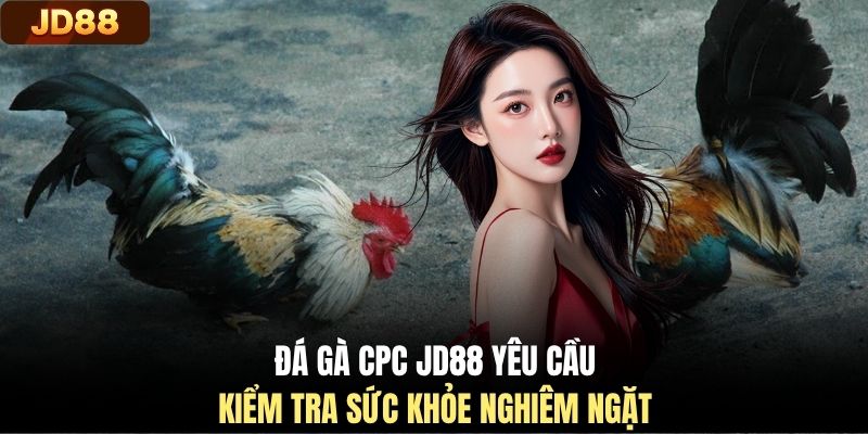 Đá gà CPC JD88 yêu cầu kiểm tra sức khỏe nghiêm ngặt
