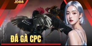 đá gà cpc