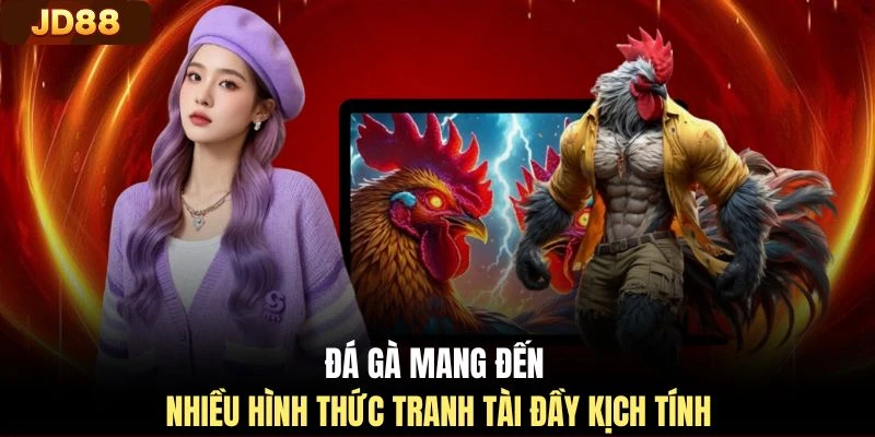 Đá gà mang đến nhiều hình thức tranh tài đầy kịch tính