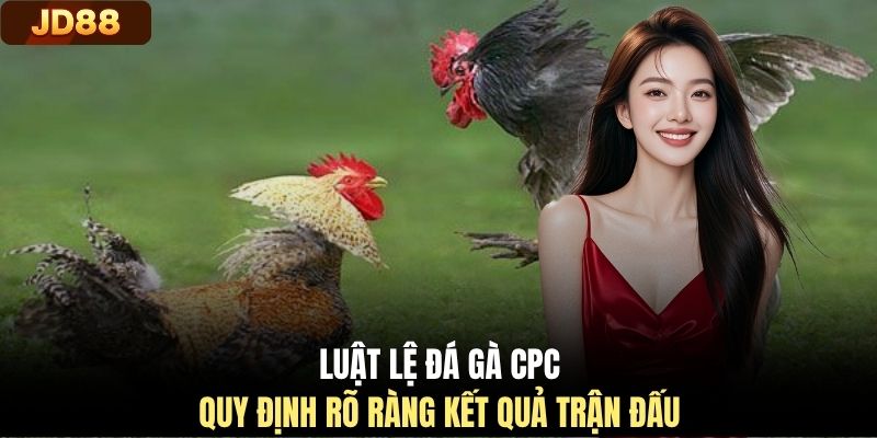 Luật lệ đá gà CPC quy định rõ ràng kết quả trận đấu